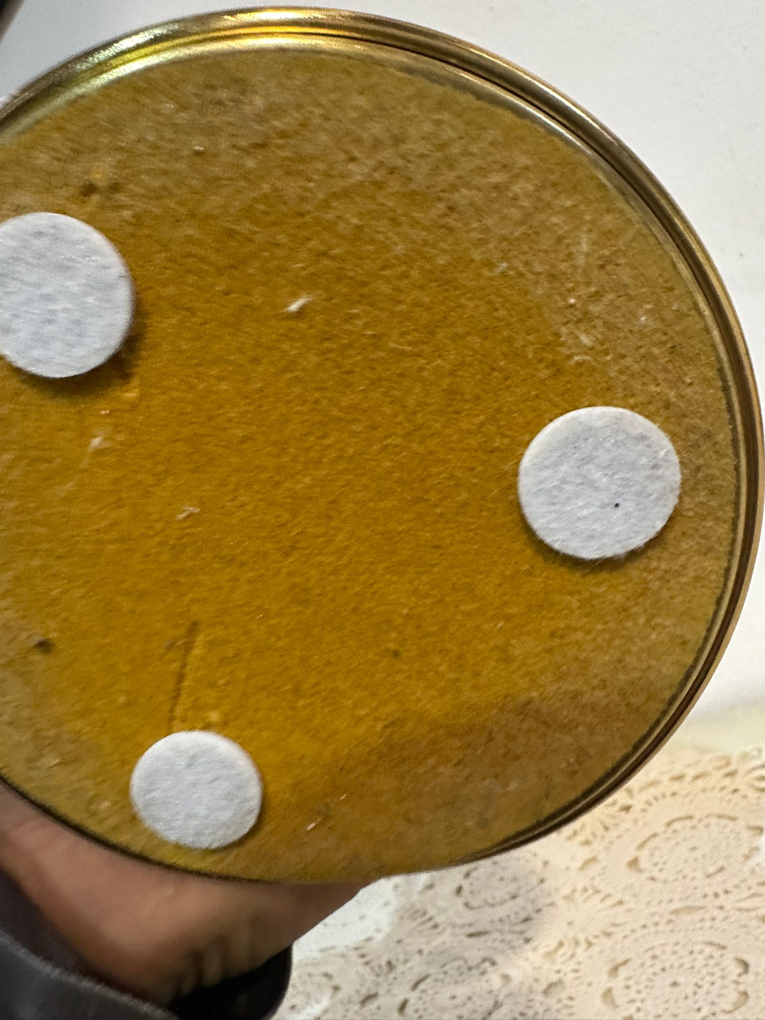 Coppia di Lampade Neoclassiche in Porcellana di Limoges – Louise e Alexandre - immagine 11